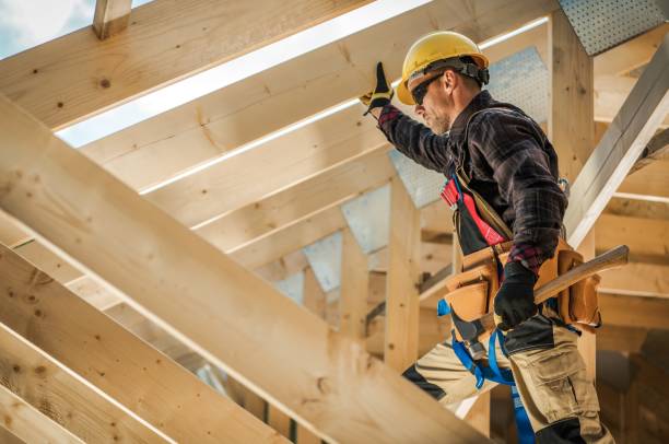 Best Roof Gutter Cleaning  in Granite City, IL